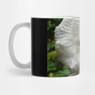 Rose of Sharon - Garden lover gift Mug